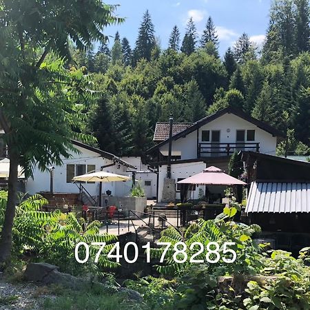 Podul De Brazi - Fir Bridge Villa Cârțișoara Exterior photo